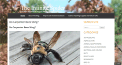 Desktop Screenshot of infinitespider.com